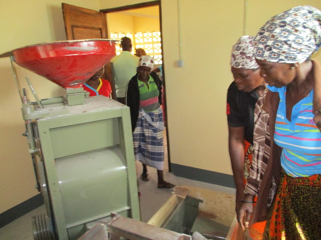 Máquina de descasque de arroz en Chacane